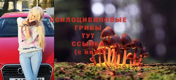 МДПВ Бронницы