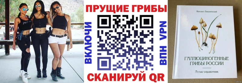 гидра маркетплейс  Карталы  Псилоцибиновые грибы мицелий 